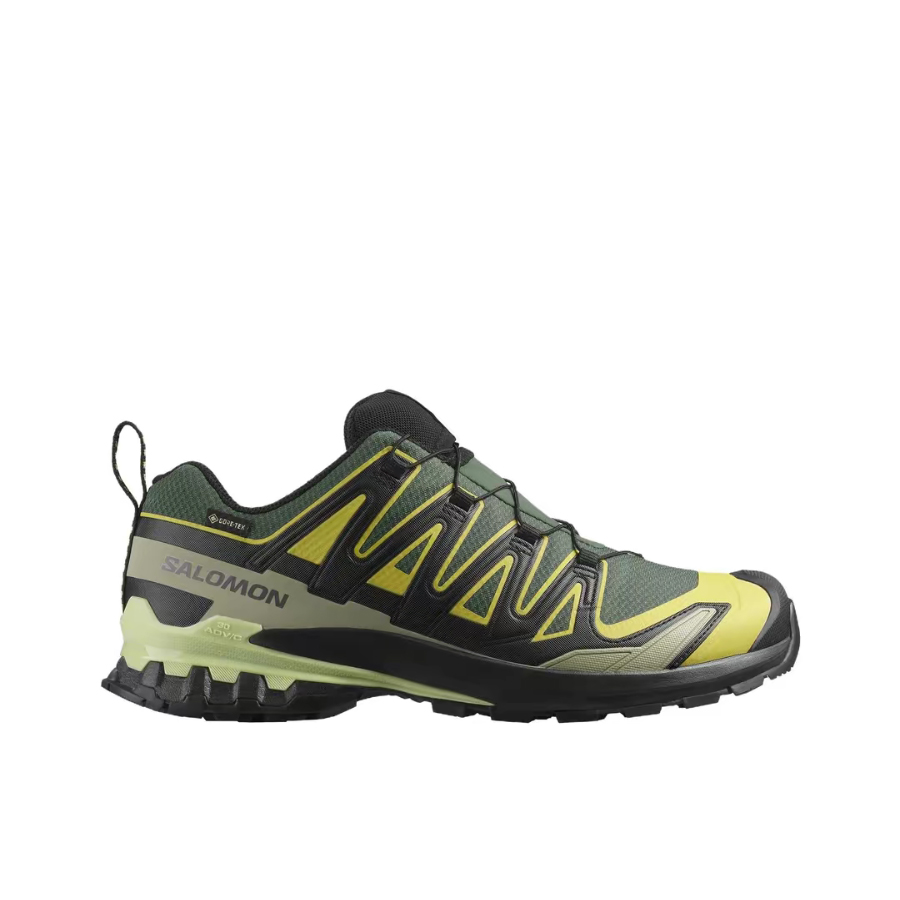 Salomon XA Pro 3D V9 GTX: Retr - Salomon Shoes Xa Pro 3D review and price