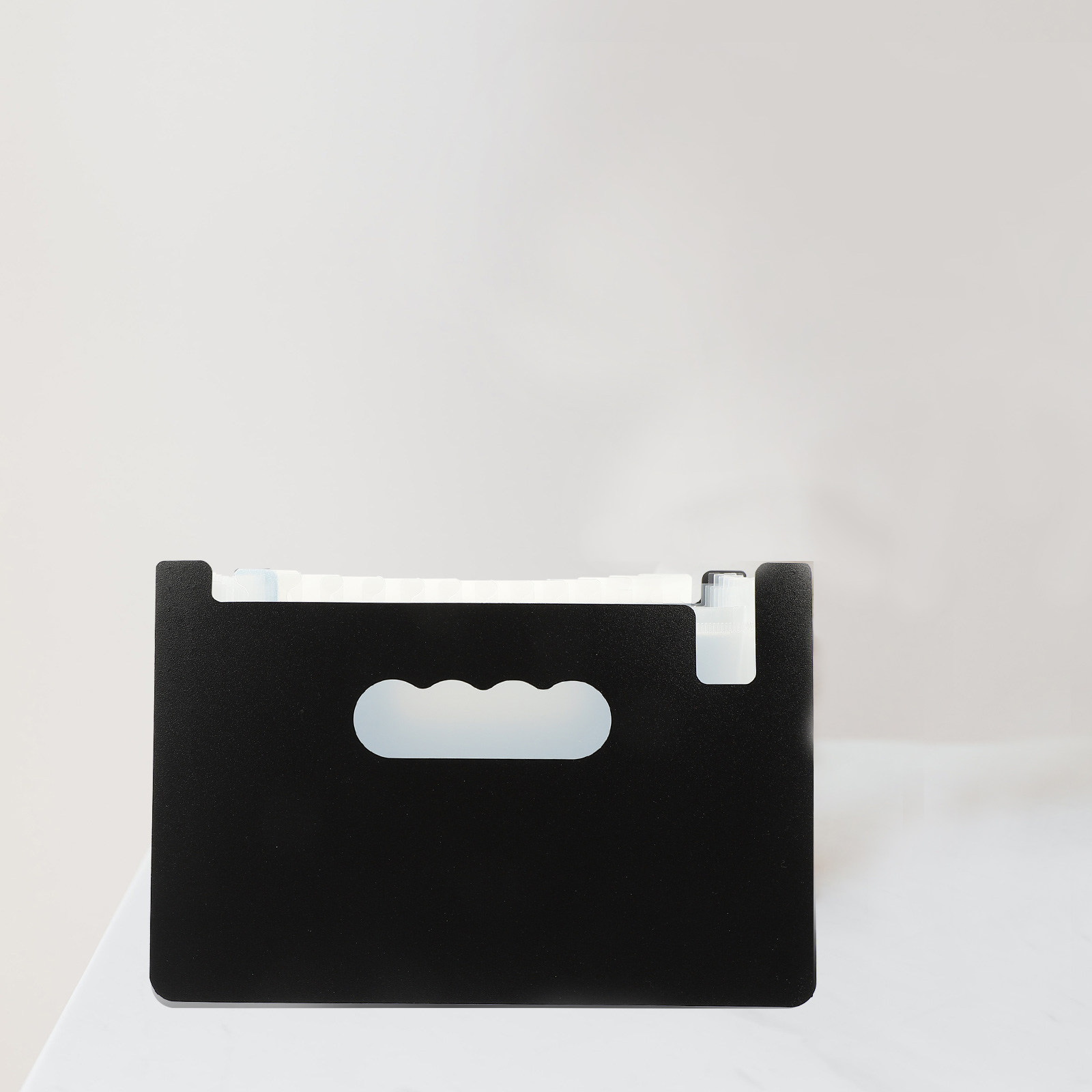 Fine Workmanship PP Accordion  - Travel Access review and price